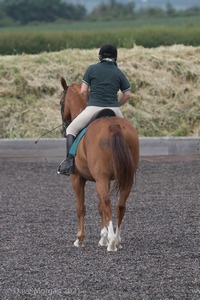 ISIS Dressage Challenge 2008